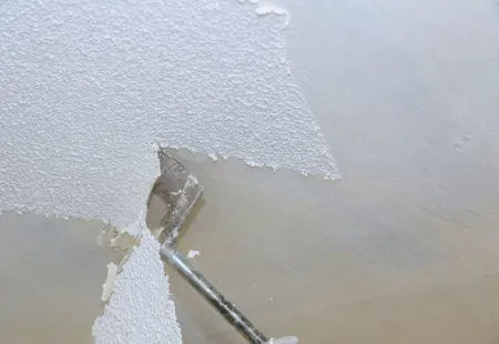 Speciality Painting - popcorn removal
